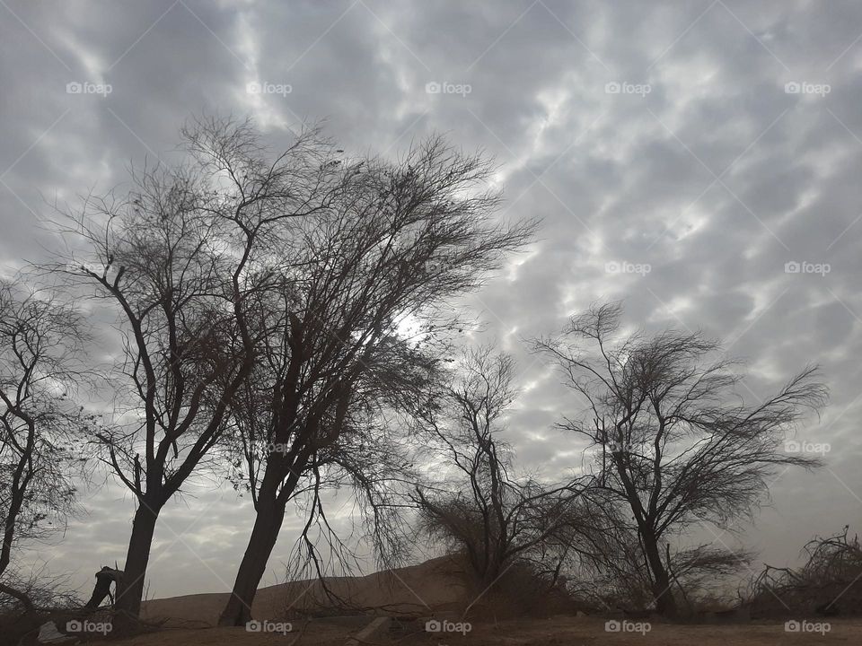 Please make me happy, I am poor, I need your help with support