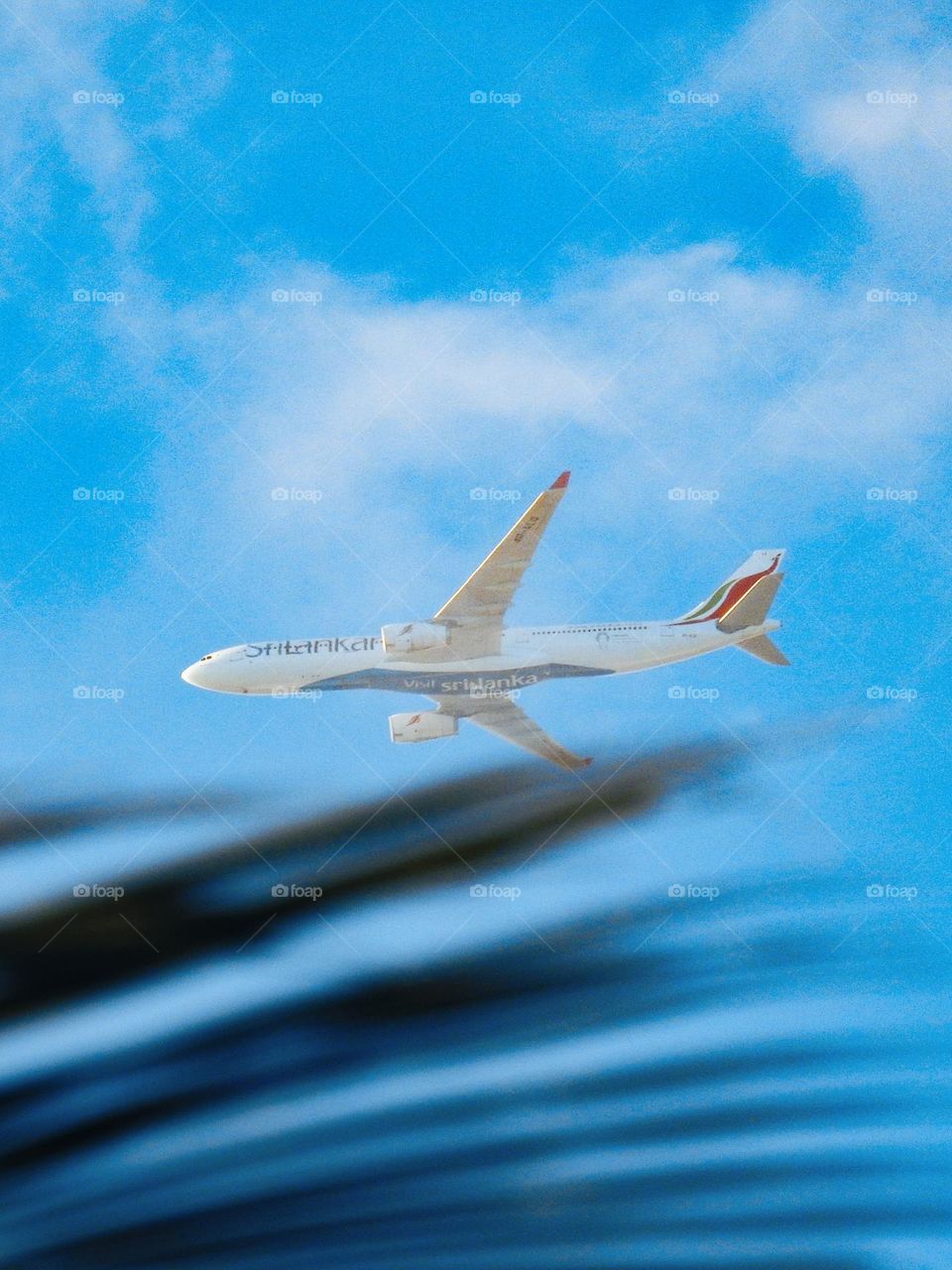 ππ«π’πππ§π€ππ§ ππ’π«π₯π’π§ππ¬ π¨π-π°π±π±
(Queen Elizabeth II special decals )