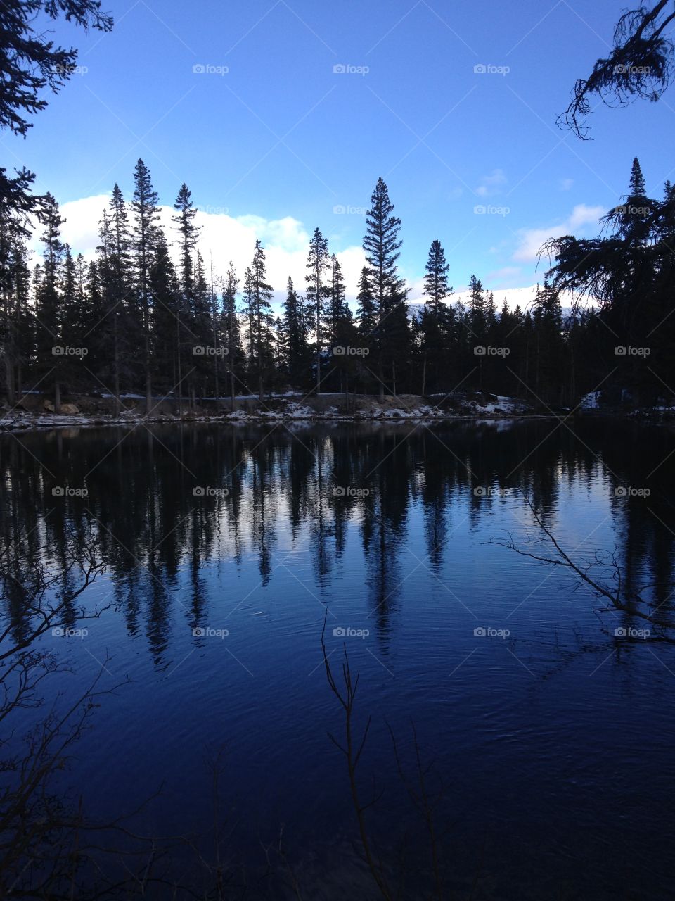 Lake and Tree Views mid-Winter British Columbia