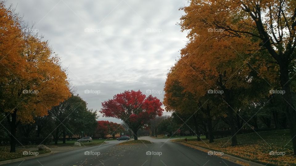 fall drive