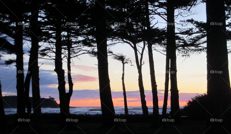Tofino Colours. Sunset through the trees in Tofino BC at Cox Bay