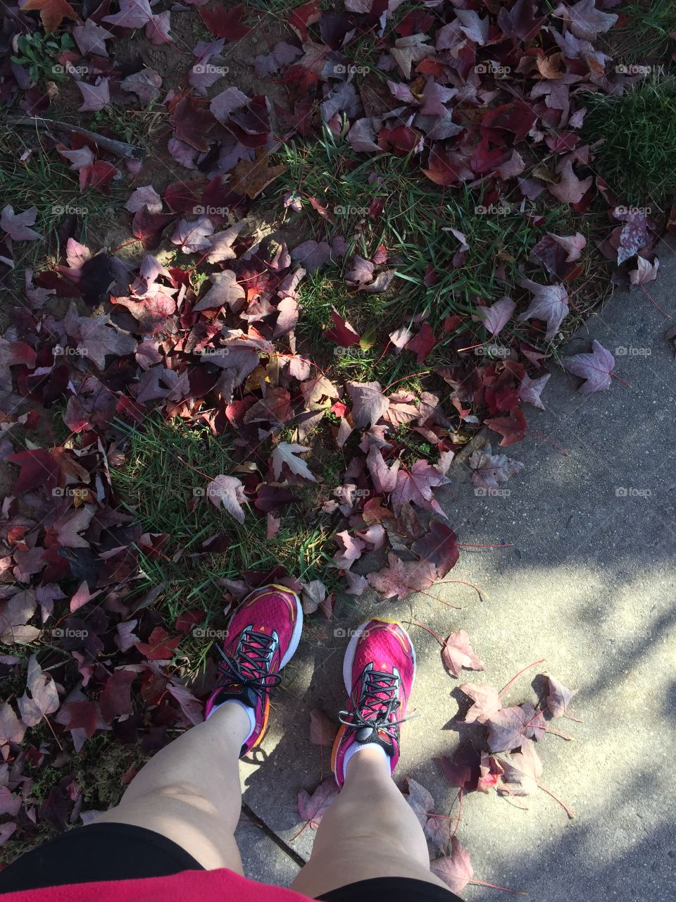 Walking in leaves 