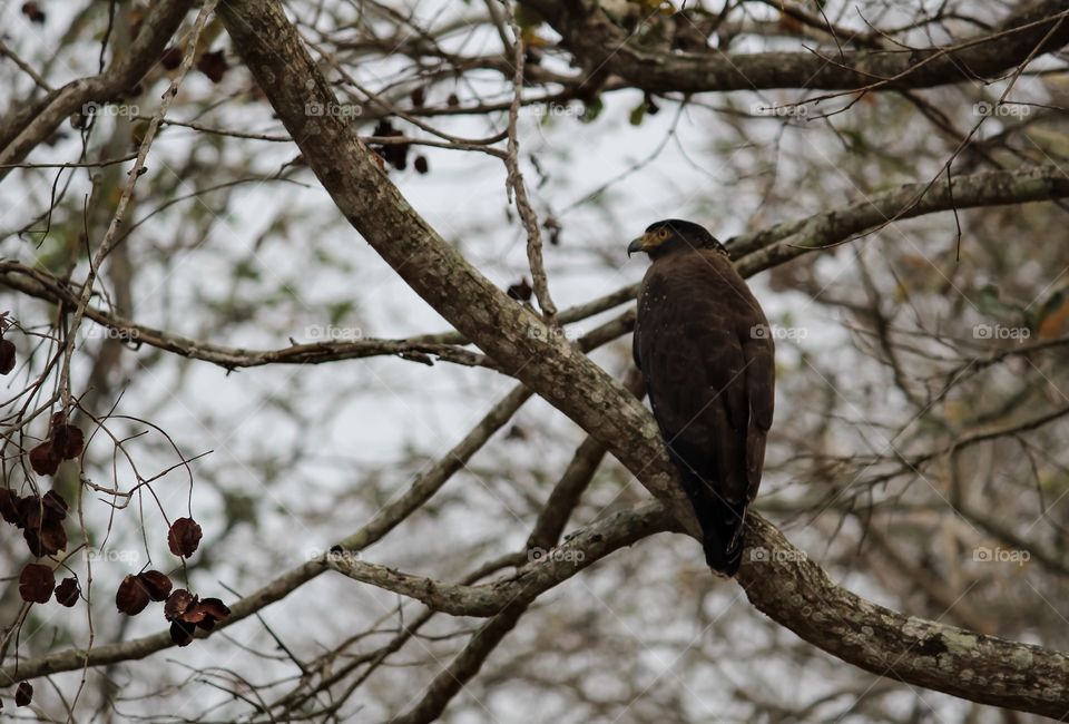 Bird perching on branch