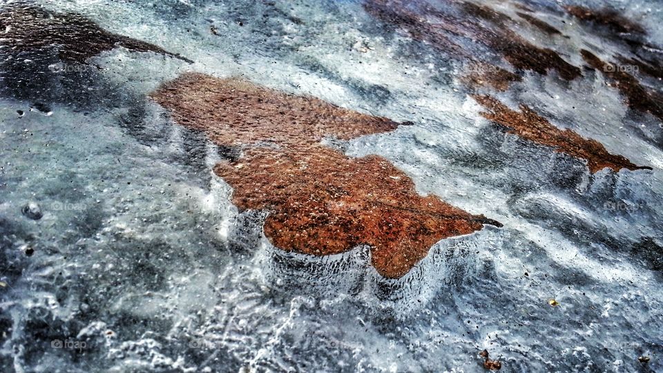 Leafs in ice