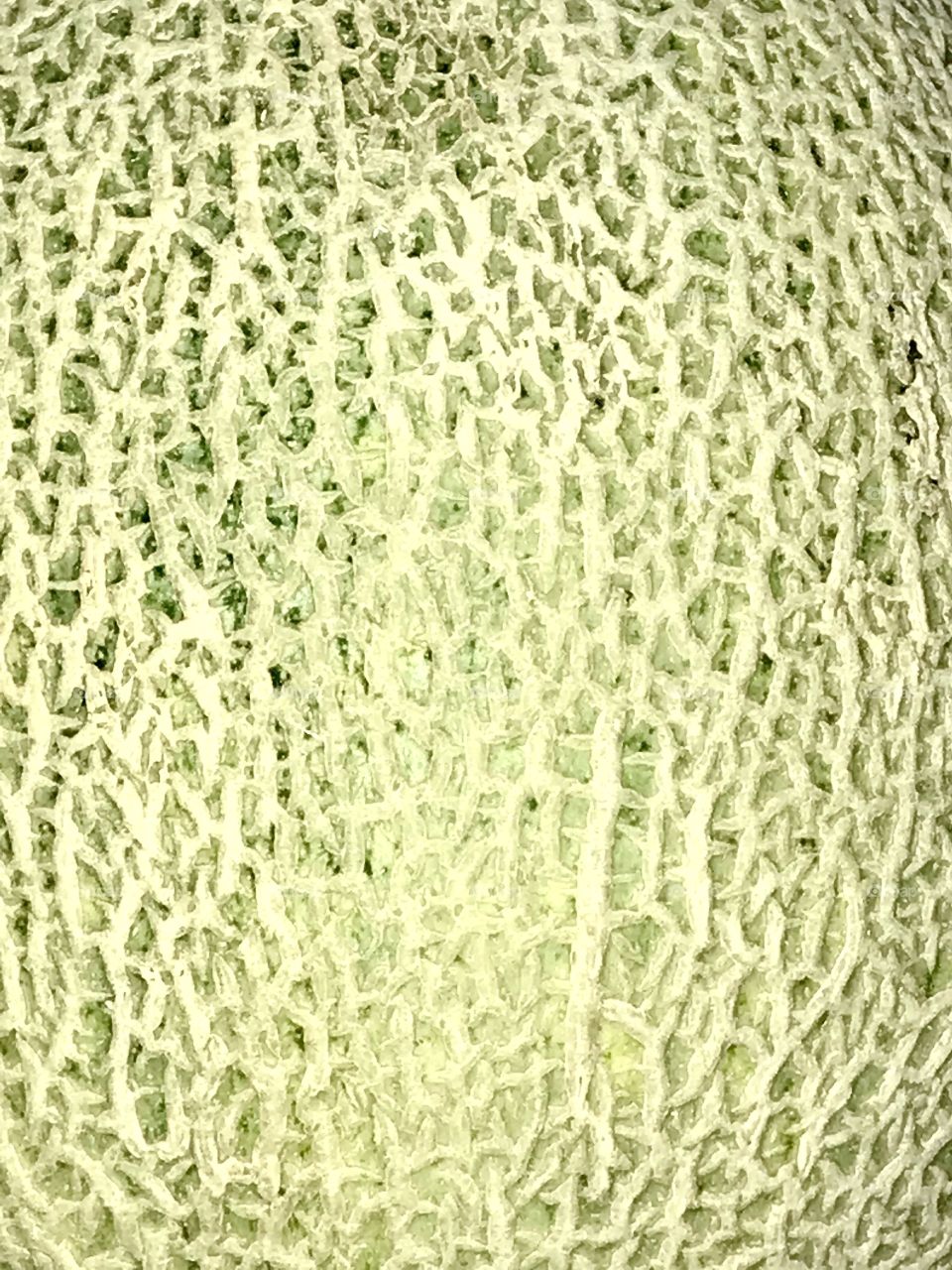 cantaloupe skin