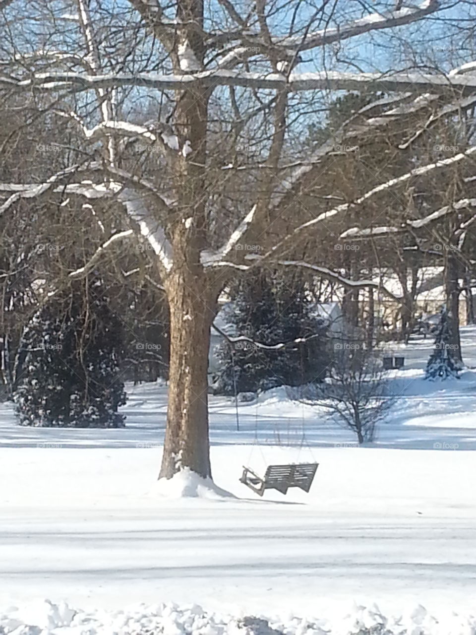 snowy swing