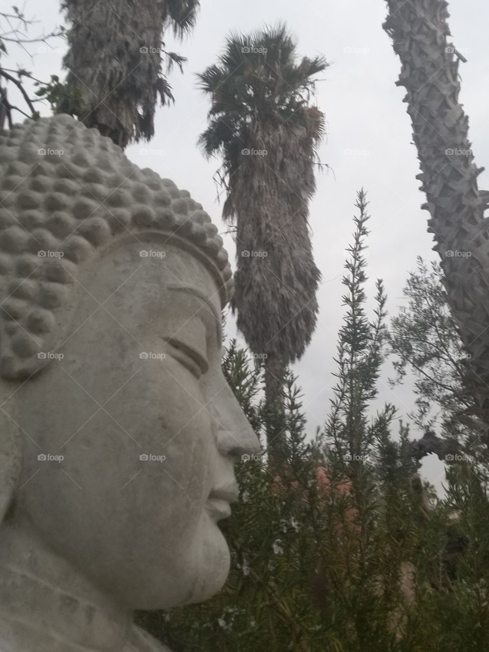 Buddha