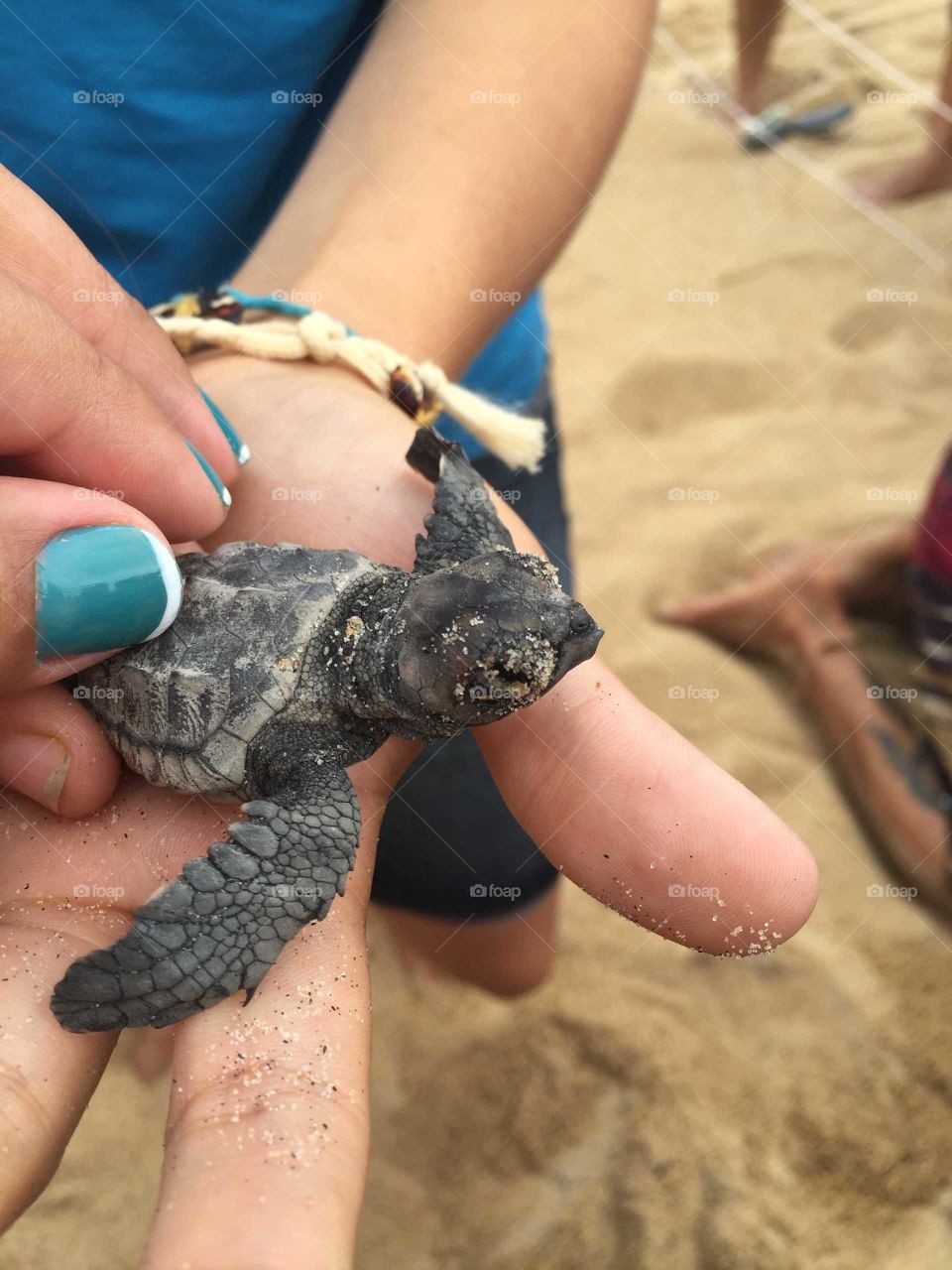 Natuteza...Vida que segue