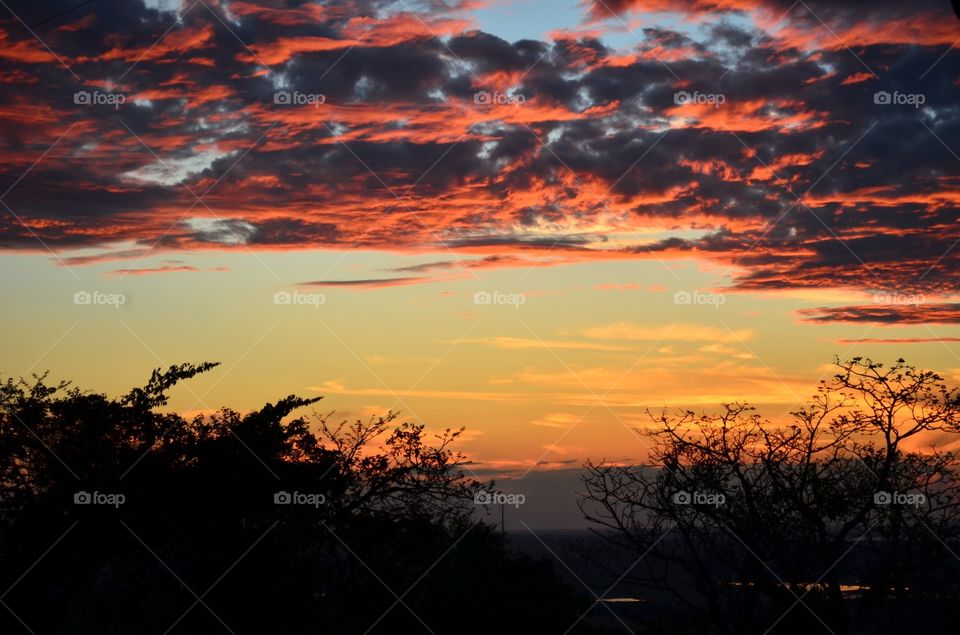 sunset PANTANAL MS BRAZIL