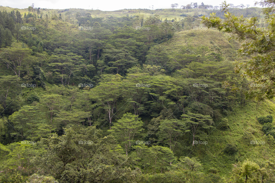 nuwara eliya sri lanka