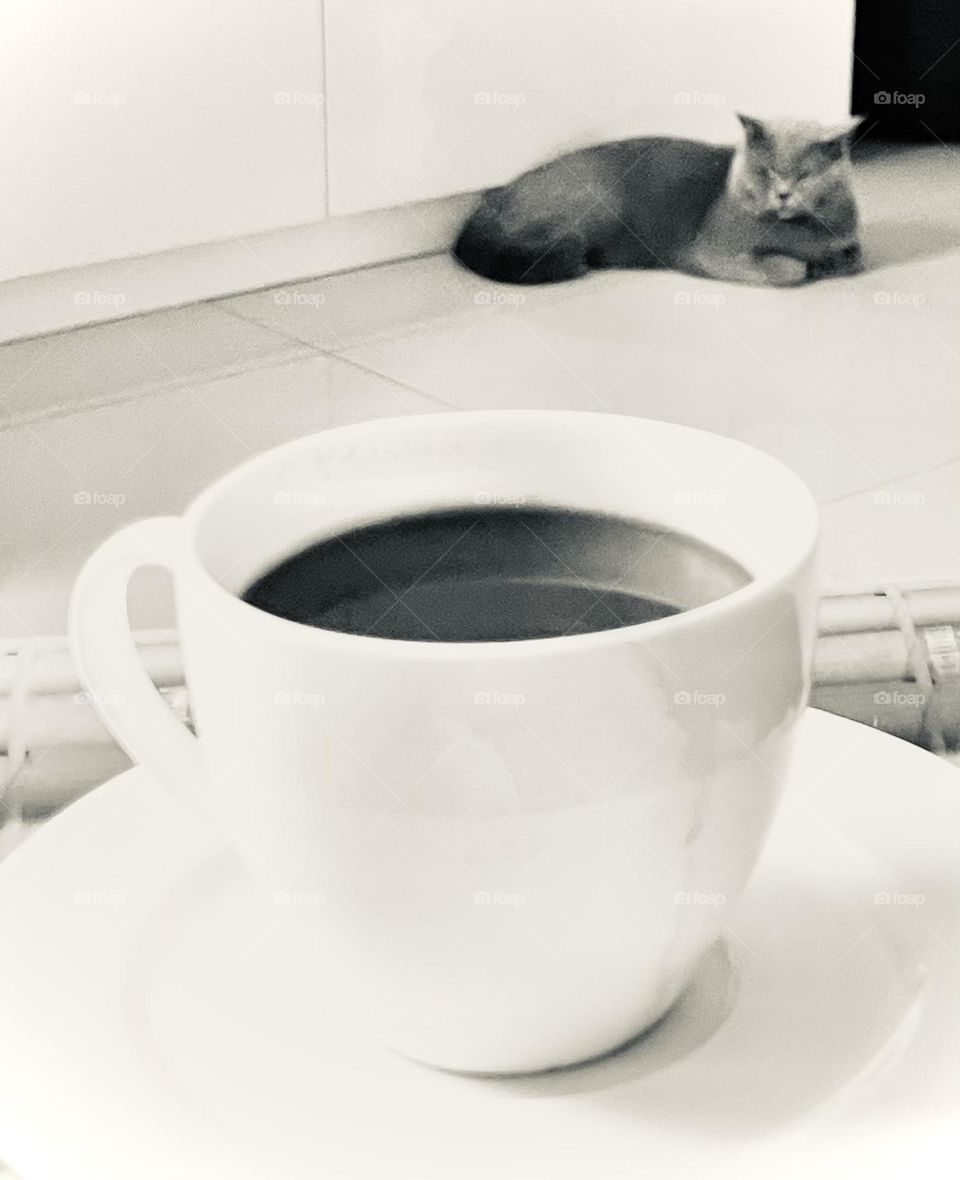 Coffee and Pet