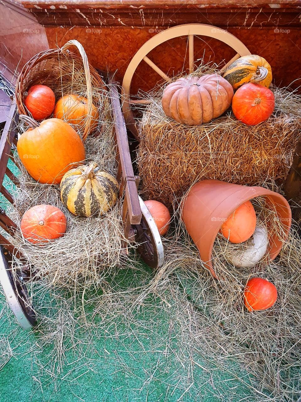 Autumn.  Composition with pumpkins.  Pumpkins in baskets.  Pumpkins in a wooden cart.  Pumpkins in the hay.  Different varieties of pumpkins.