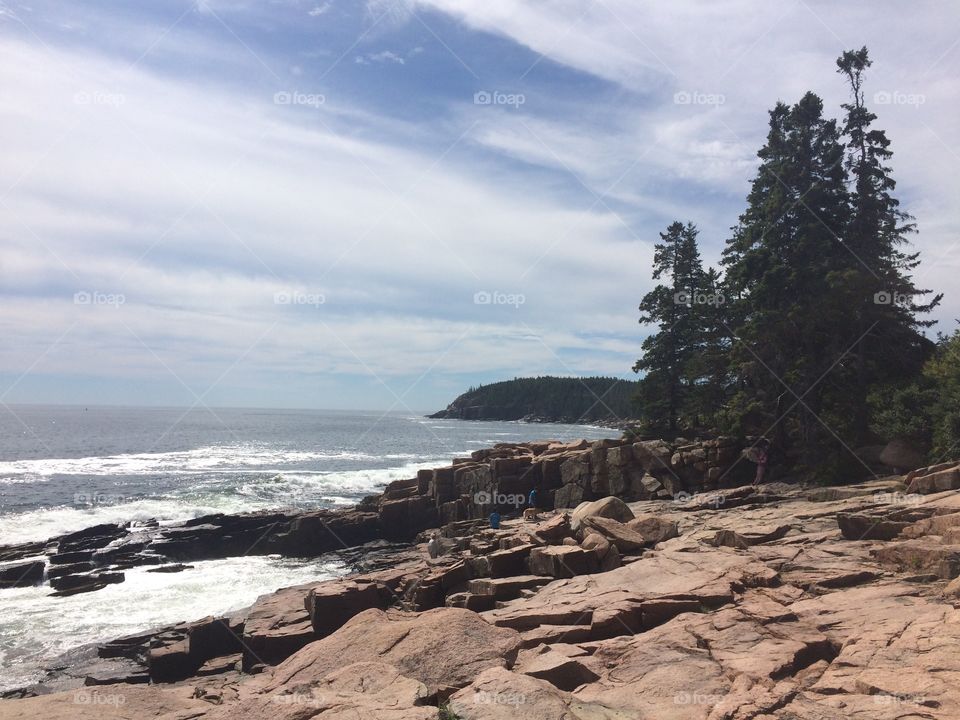 Acadia coast 