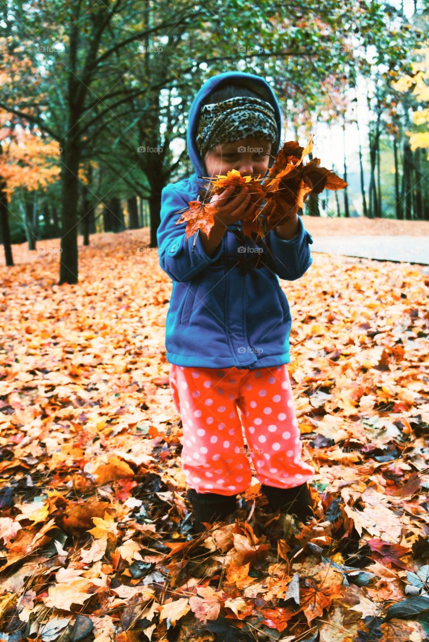 Fall, People, Child, Leaf, One