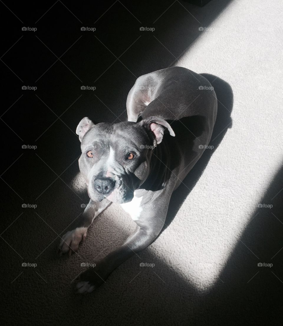 My future is bright... Like the sun 
