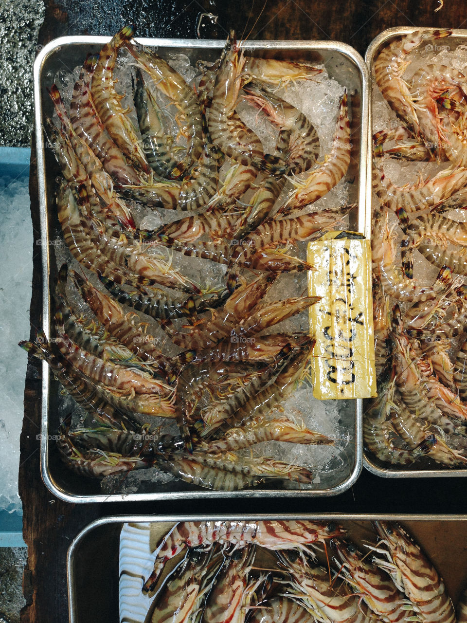 Shrimp. Raw shrimp at Tsukiji market, Tokyo
