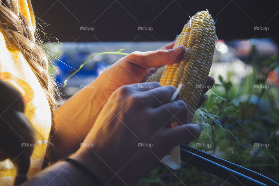Close-up of person peeling corn cob
