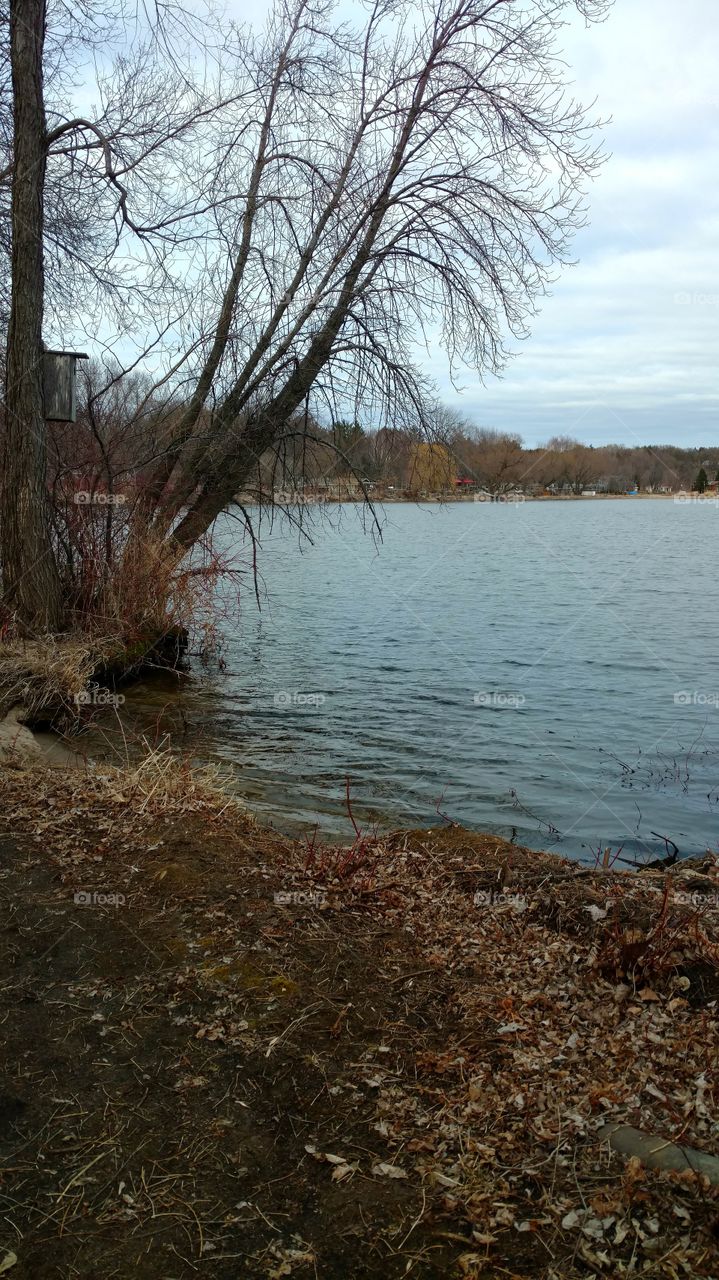 cloudy day in fall tree and Lake