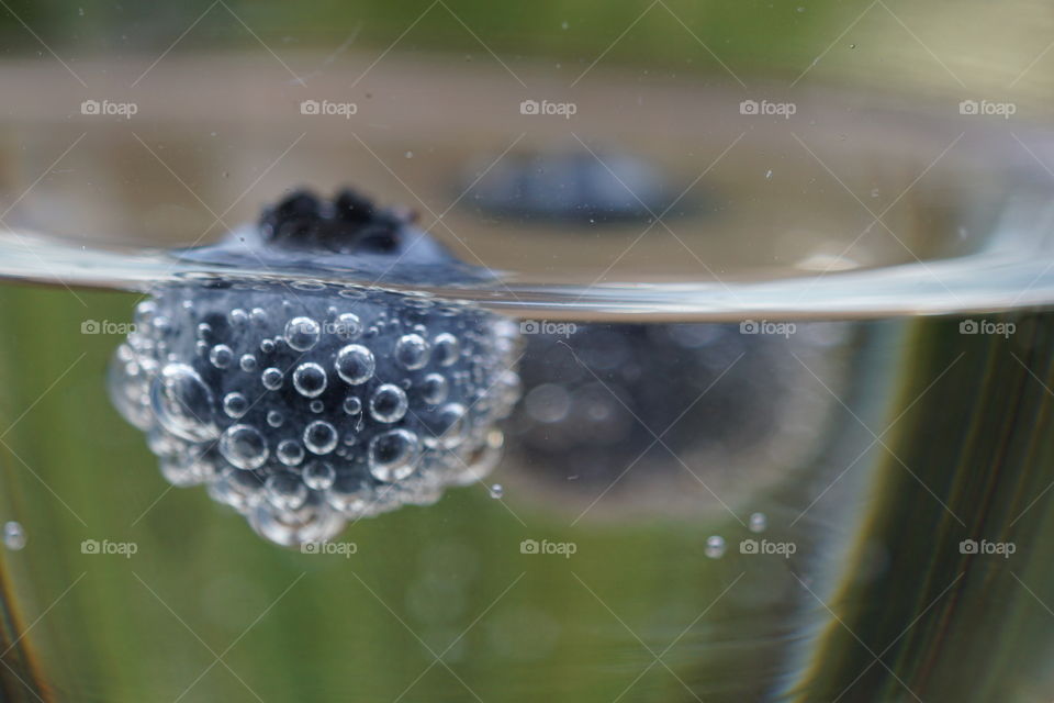 Little blueberries floating in fizzy water