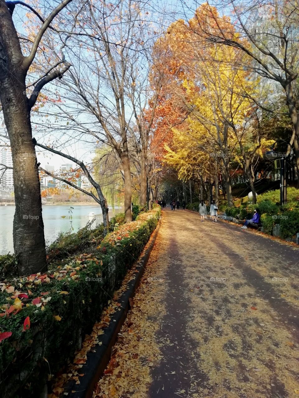 Seokchon lake, Seoul