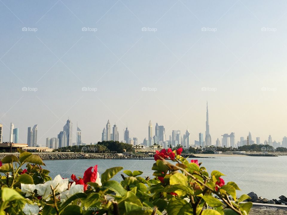 Dubai skyline view 
