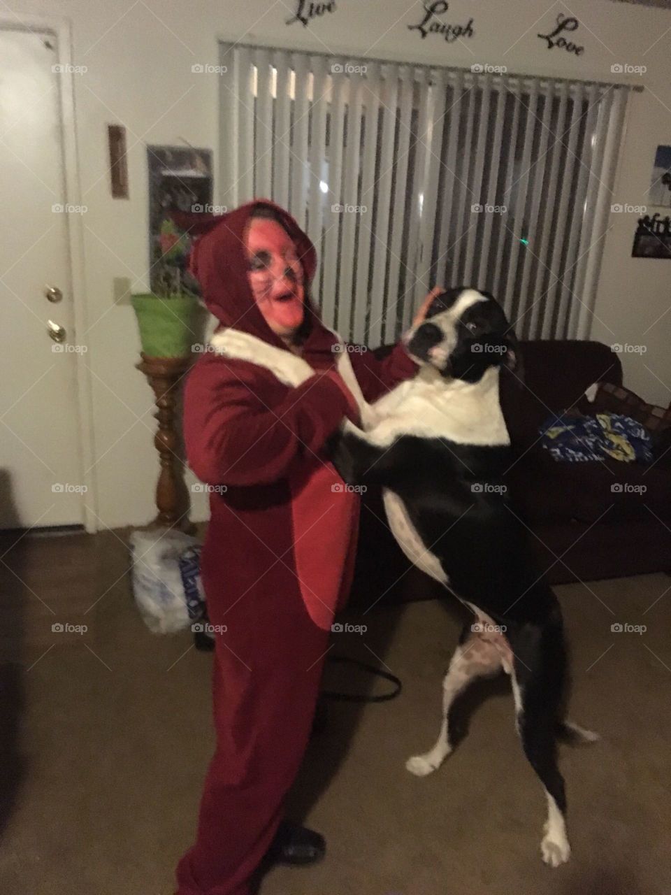 Where is my boy?? Down little doggie, it's me! 