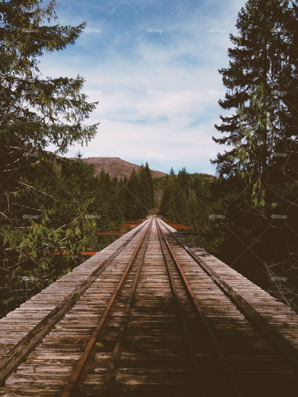 Wooden rail track