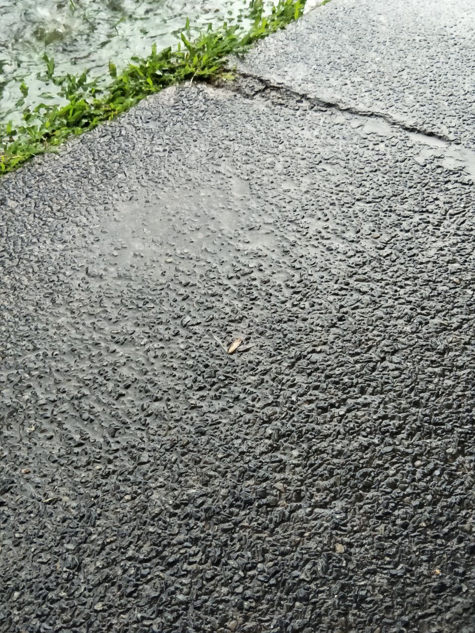 Rain puddle in a pavement