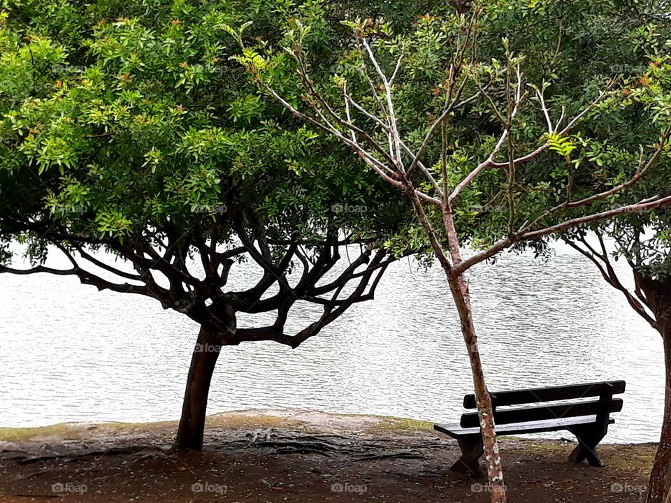 in simplicity nature shows us what is beautiful