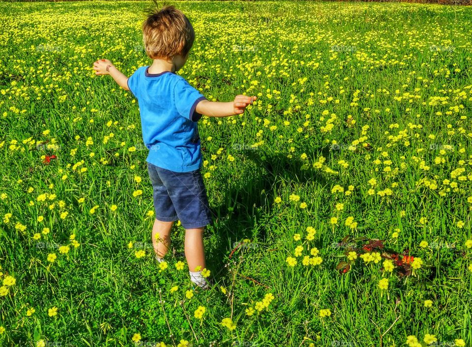 Little Boy In A Field If Springtime Wildflowers. Perfect Picture Of Heaven