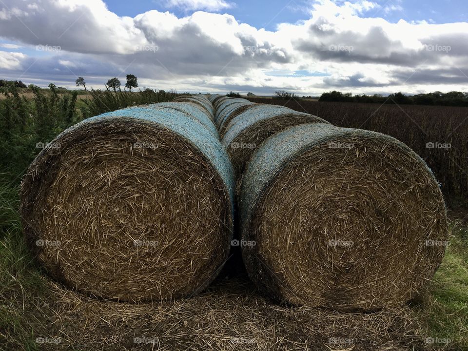 Hay Bales