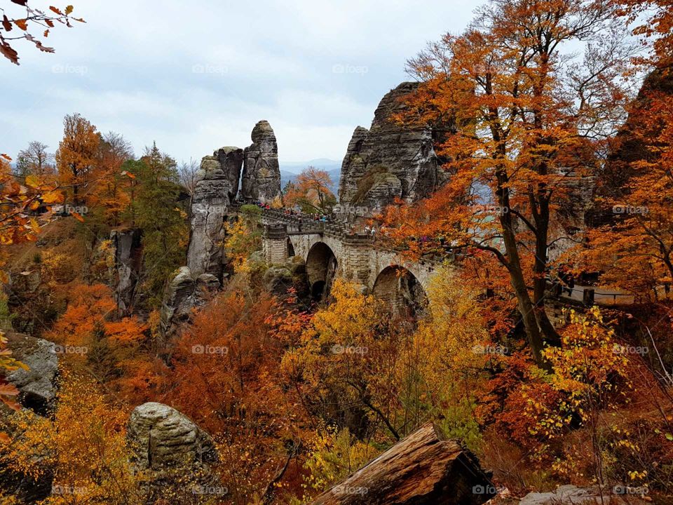 Die mächtige Bastei im zarten Herbstlaub - das besondere am Urlaubsfeeling