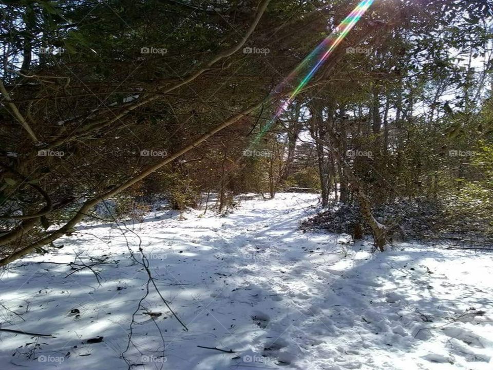 Snow
Kinston, North Carolina
Jan.4,2018