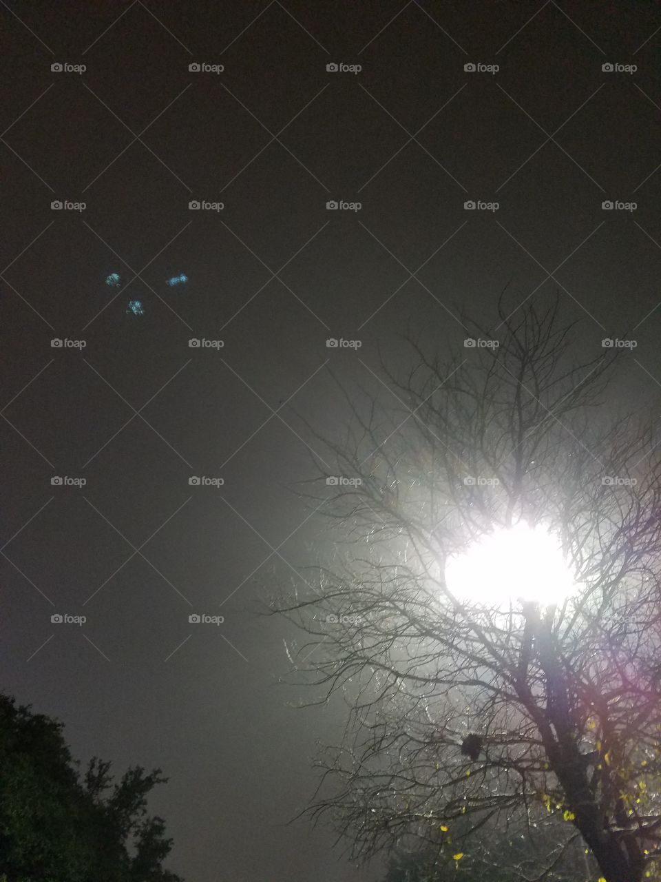 foggy nights in suburbia