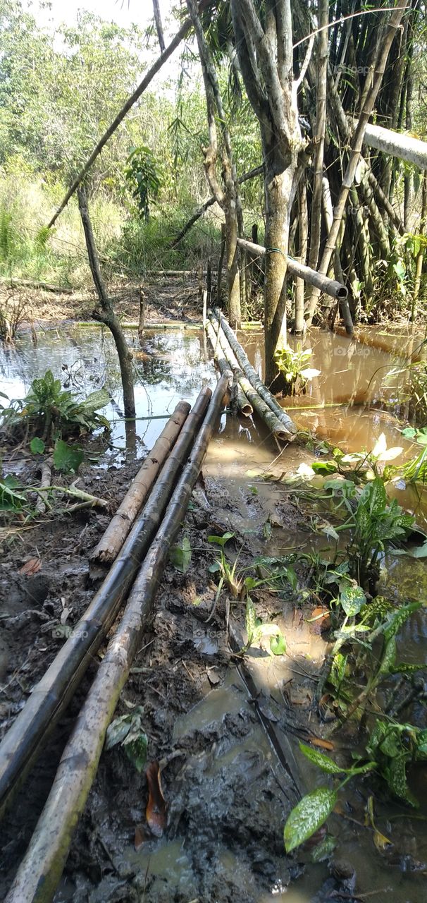 Whenever villagers built the small bridge it has its own unique. uniquely, its built with bamboo.When you walk on it try to follow their steps so that you wont fall