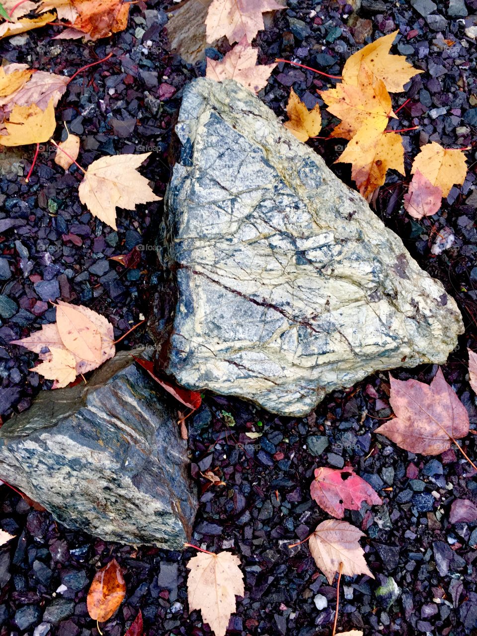 Shiny rocks and leaves