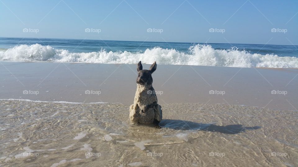 The Soaking Bunny