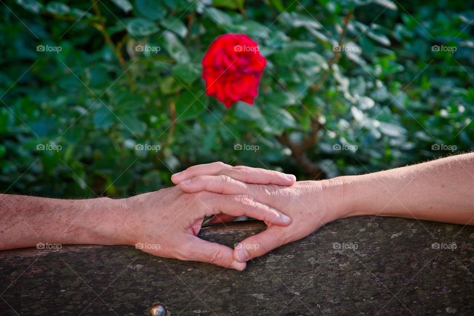 Couple holding hands in garden