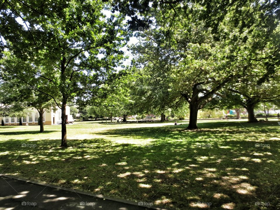 park in summer