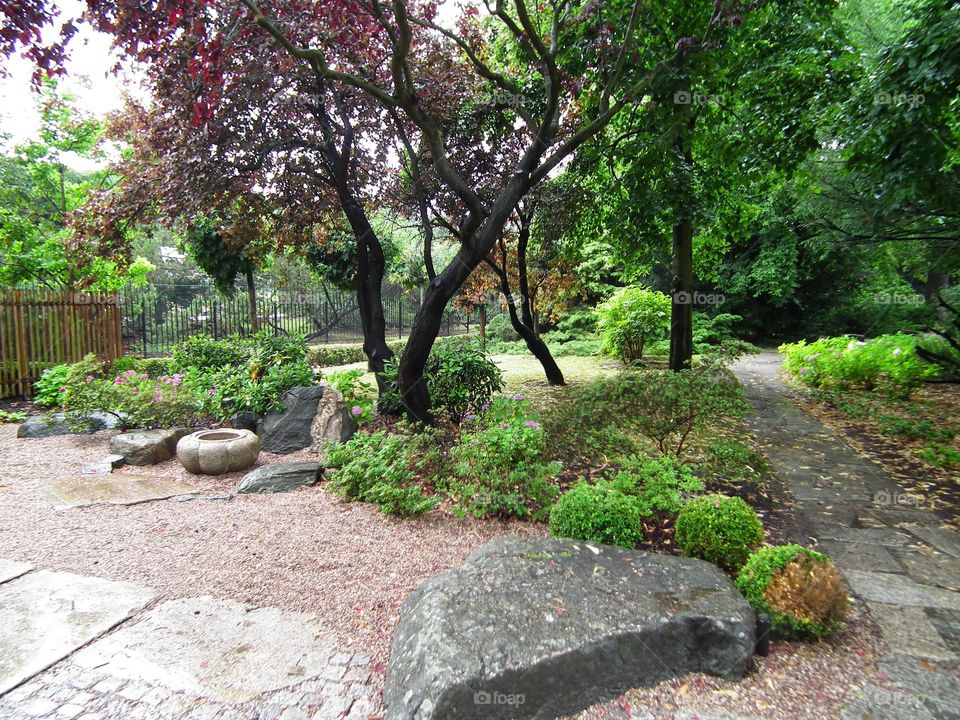 Japanese garden