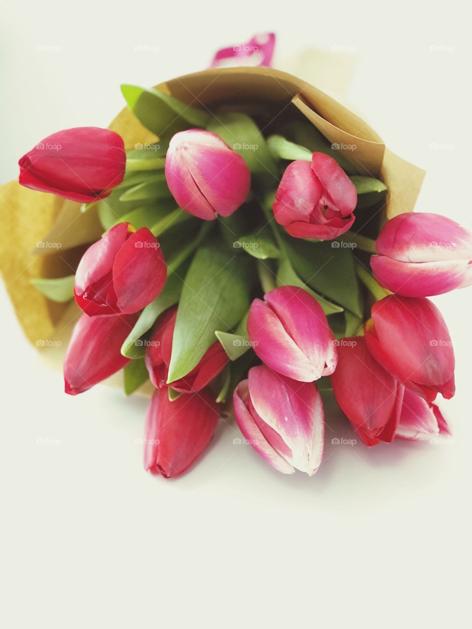 Tulips