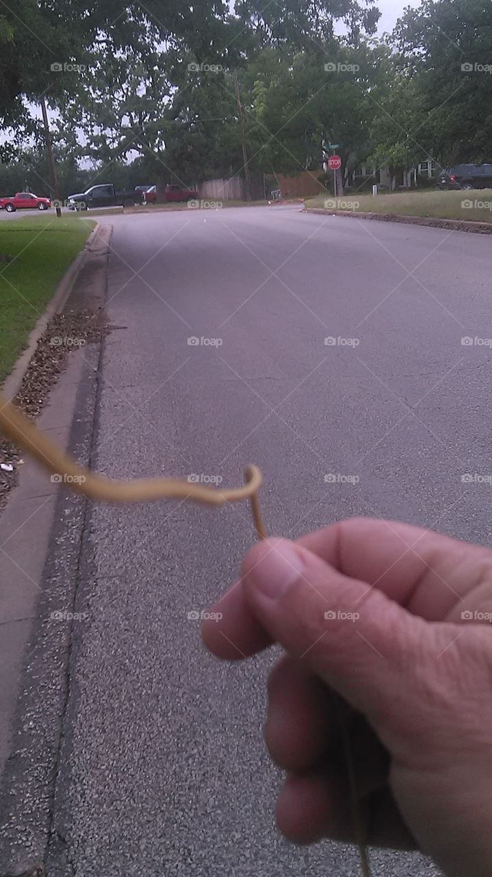 yellow cord. took this photo of my hand getting my headphone cord out of the way