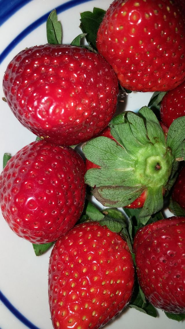 Strawberries
