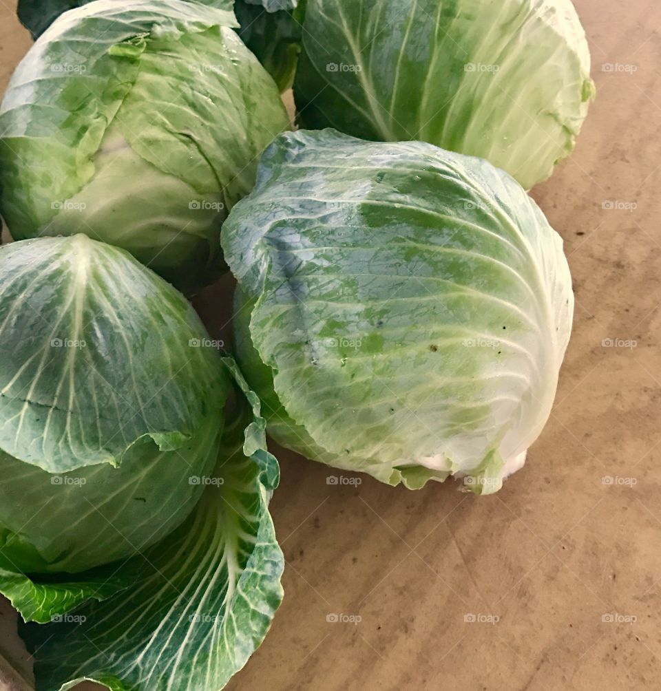 Cabbage 