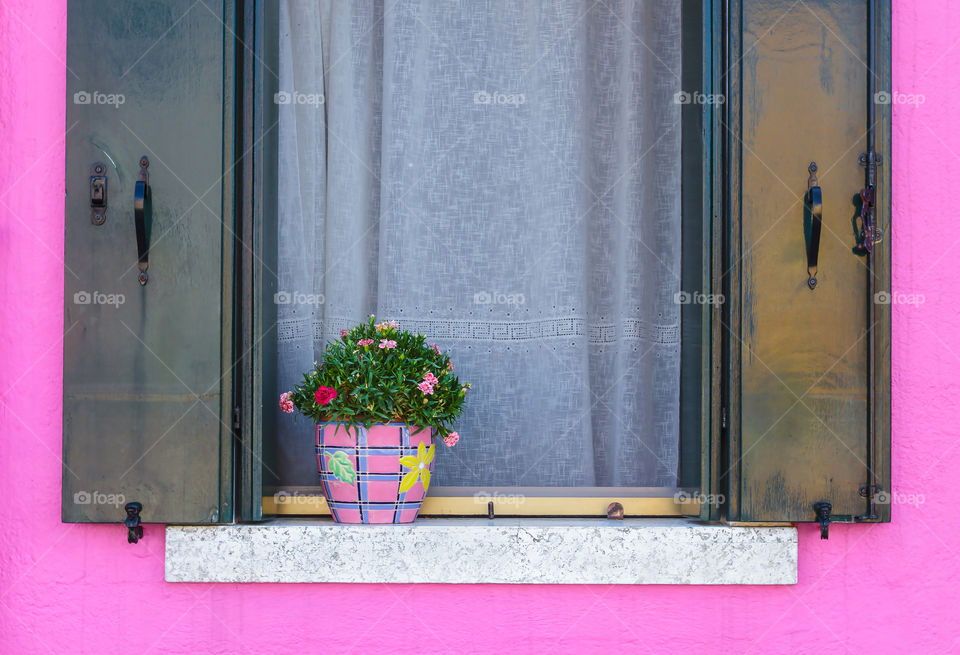 Flower pot on a window . Flower pot on a window, beautiful exterior and decoration on a building 