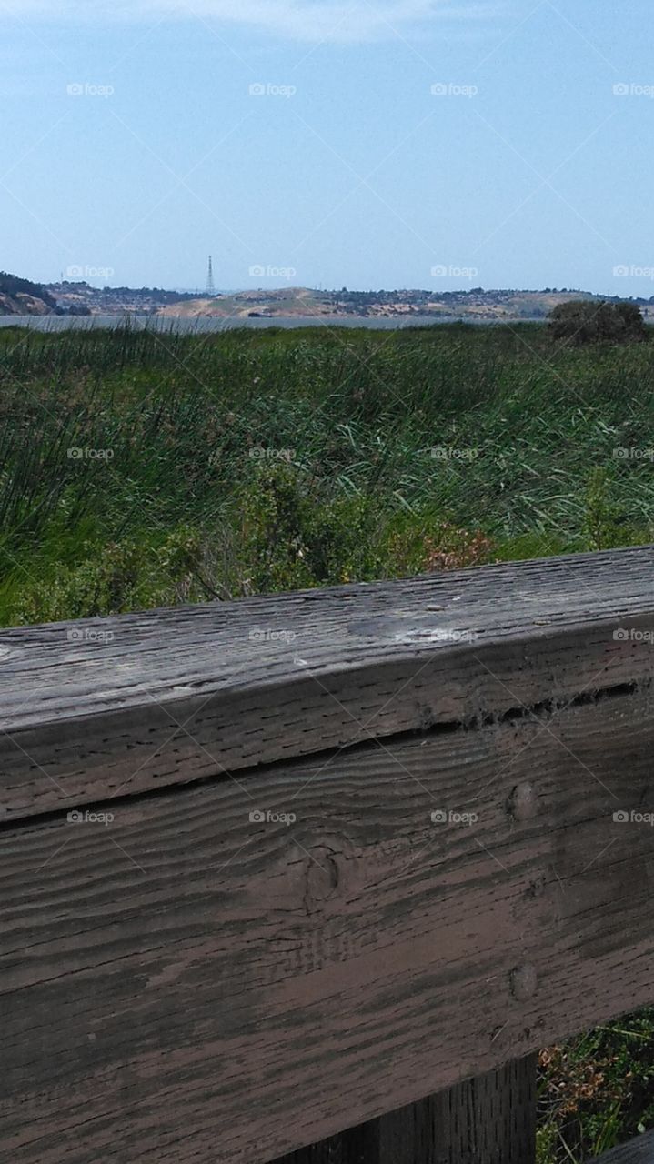 the piece that some miss in CA or never noticed