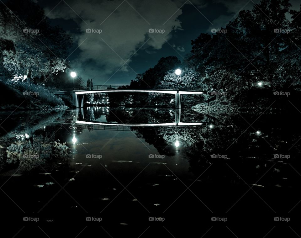 Lonely walk in the park with my dog. Silent and calm just before the storm