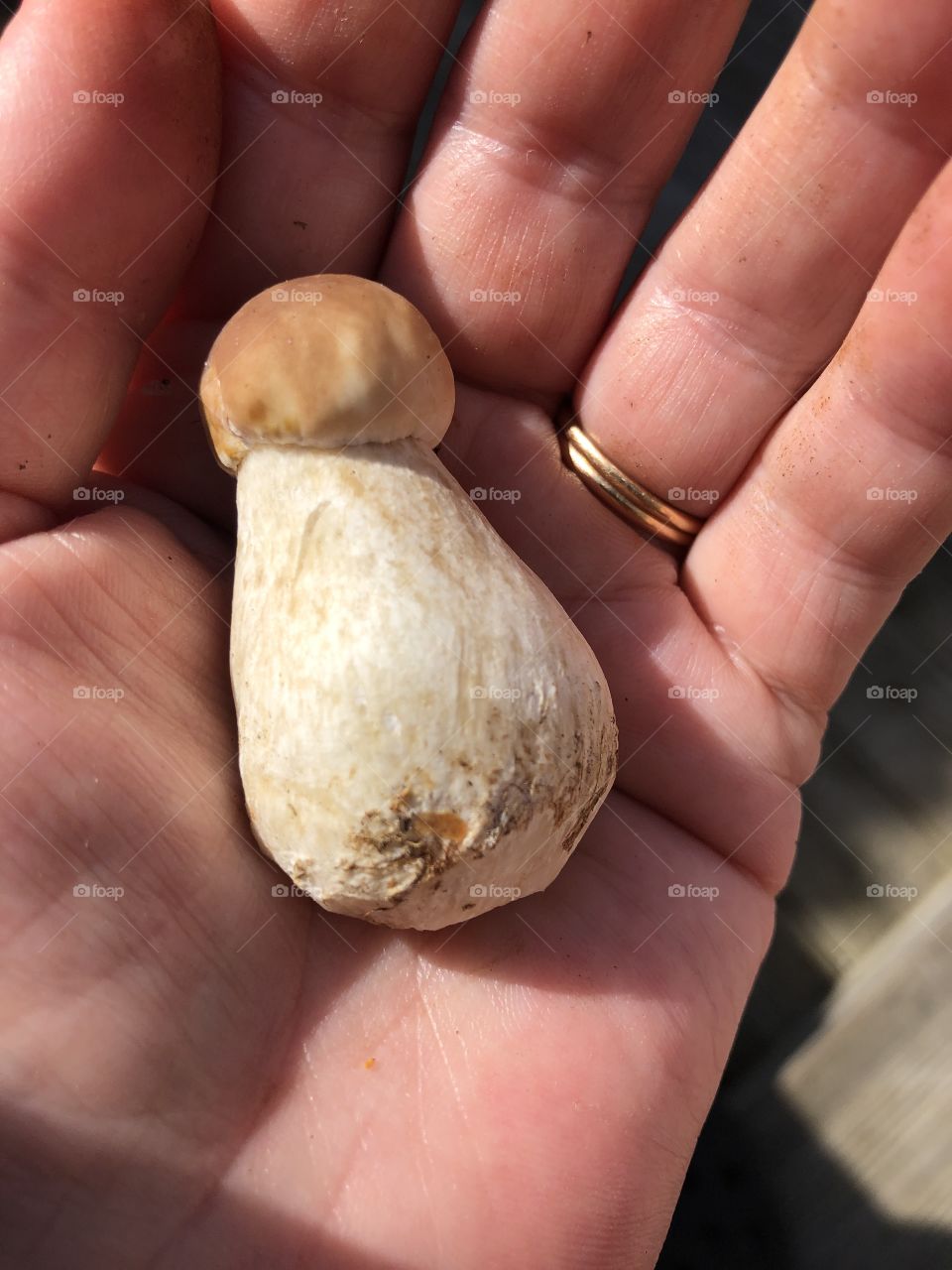 Mini cep