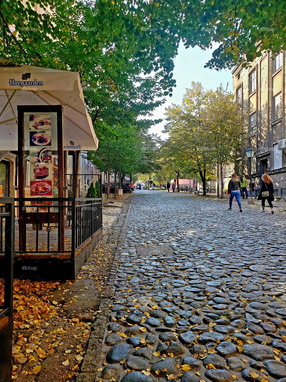 cobblestone street