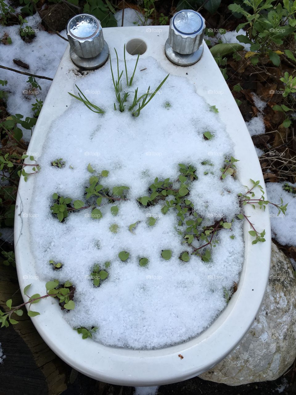 Unique snow covered grass garden in a bidet